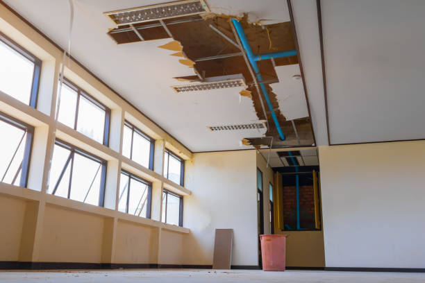Professional Water damage restoration in CA