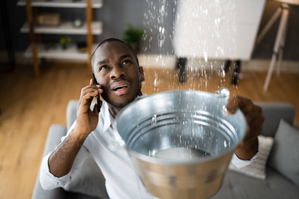 Best Ceiling water damage repair  in Covelo, CA