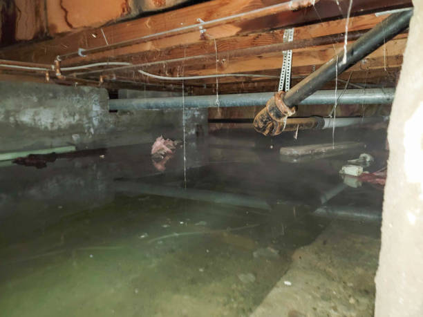 Best Water damage cleanup near me  in Covelo, CA