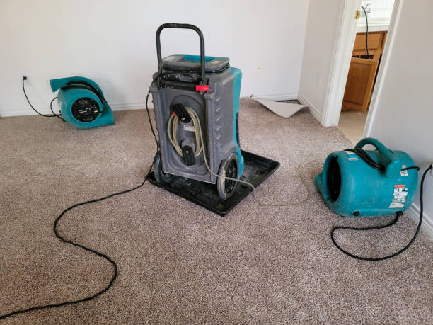 Best Flood restoration services  in Covelo, CA