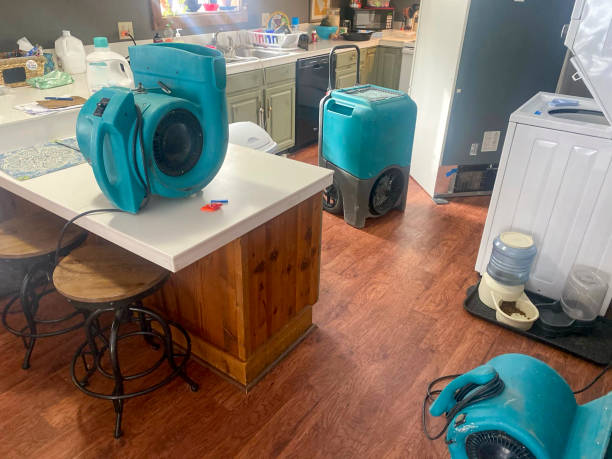 Best Flood damage cleanup  in Covelo, CA
