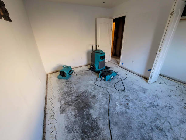 Best Local water damage restoration  in Covelo, CA