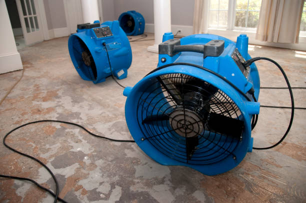 Best Flooded house restoration  in Covelo, CA