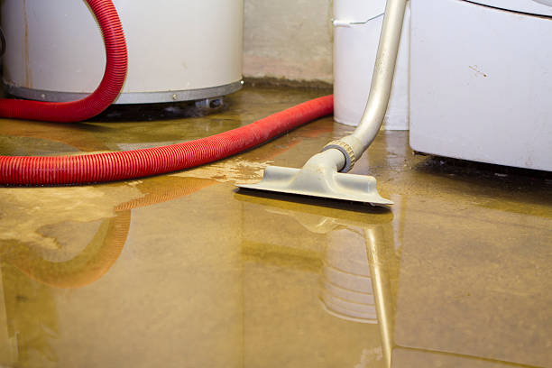 Best Professional water damage repair  in Covelo, CA