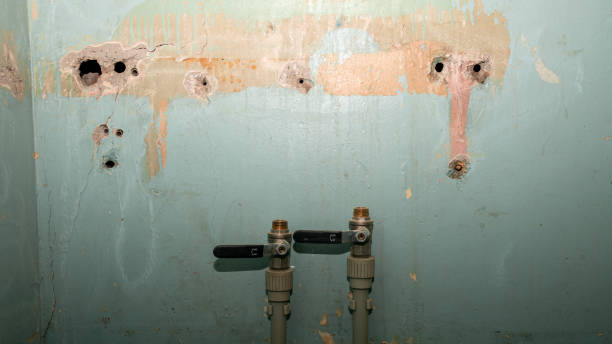 Best Water damage restoration specialists  in Covelo, CA