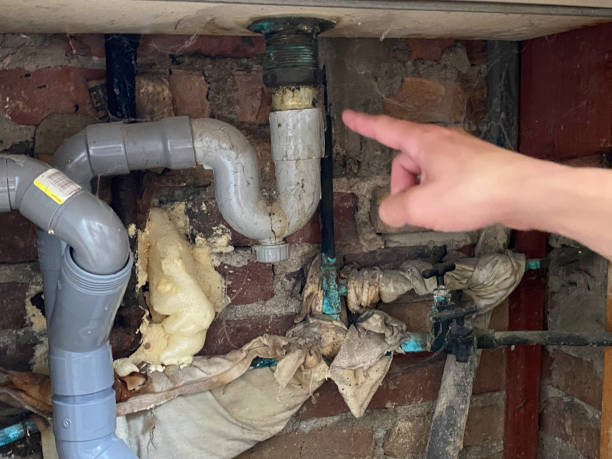 Best Water damage cleanup near me  in Covelo, CA