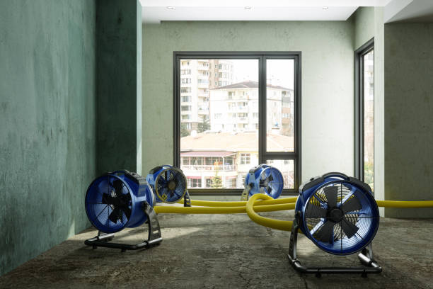 Best Fire Damage Restoration  in Covelo, CA